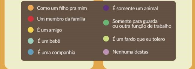 Como o brasileiro cuida e quanto gasta seus animais de estimação